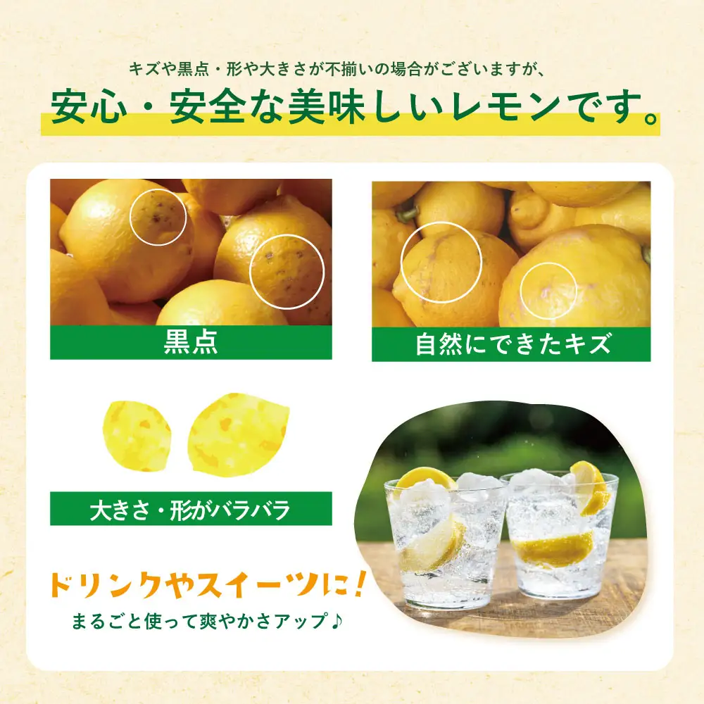 AA14-01 福智町産 無農薬 レモン 2.5kg 約16～20個