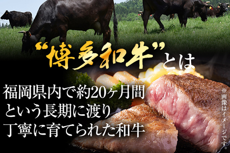 【厳選希少部位】【A4～A5】博多和牛ミスジステーキ 約500g 黒毛和牛 