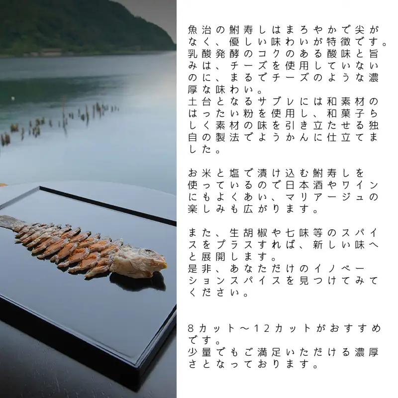 【H-338】とも栄菓舗　ベイクドようかん　湖々菓楽　ふなチー　1個／約径１２cm【高島屋選定品】