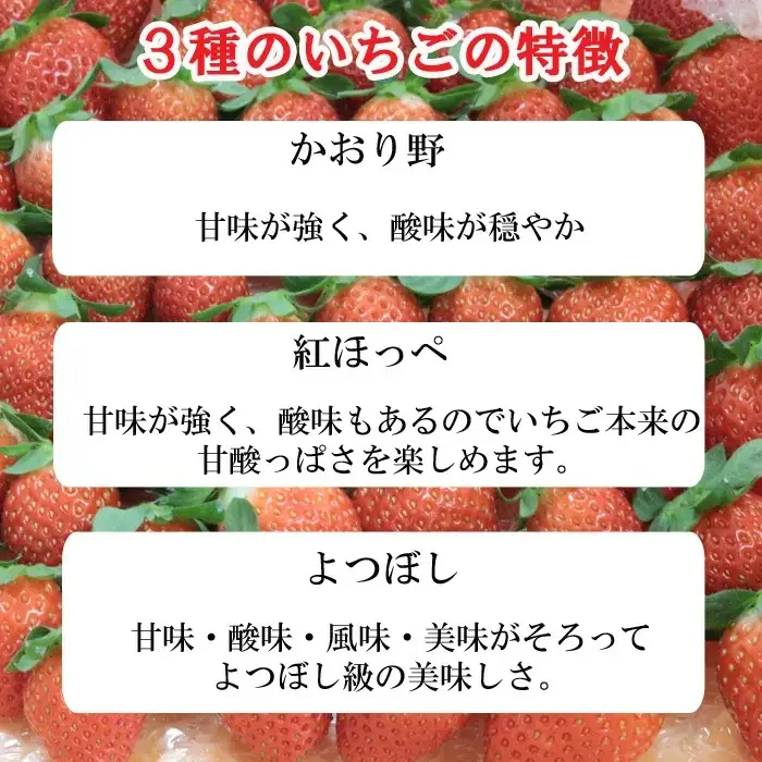 冷凍完熟いちご 1kg【苺 イチゴ 冷凍 果物 フルーツ ミックス 完熟 かおり野 紅ほっぺ よつぼし 甘味 酸味 甘酸っぱい シャーベット スムージー 島根県 安来市 安来市産】