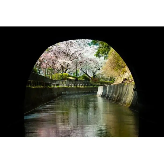 【びわ湖疏水船：三井寺便】春シーズン先行予約権（１名様分の先行予約の権利と乗船引換券）