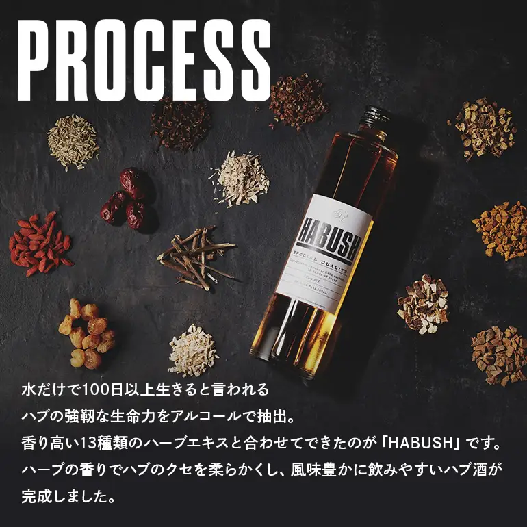 話題の ハブ酒 『 HABUSH 』 アルコール 35％ 500ml ハブ お酒 薬膳酒 お酒 酒 沖縄 地酒 泡盛 オリジナル Awich プロデュース 新世代のハブ酒 ハーブ ブレンド スタイリッシュ ギフト お酒好き ラッパー プレゼント 晩酌 薬膳 沖縄県 糸満市 179-1
