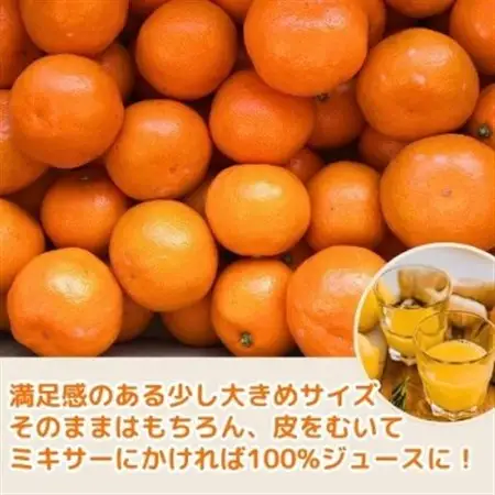 【2026年12月～2027年1月発送】訳あり 大きめサイズ 完熟温州みかん 5kg 和歌山県産【配送不可地域：離島】【1553206】