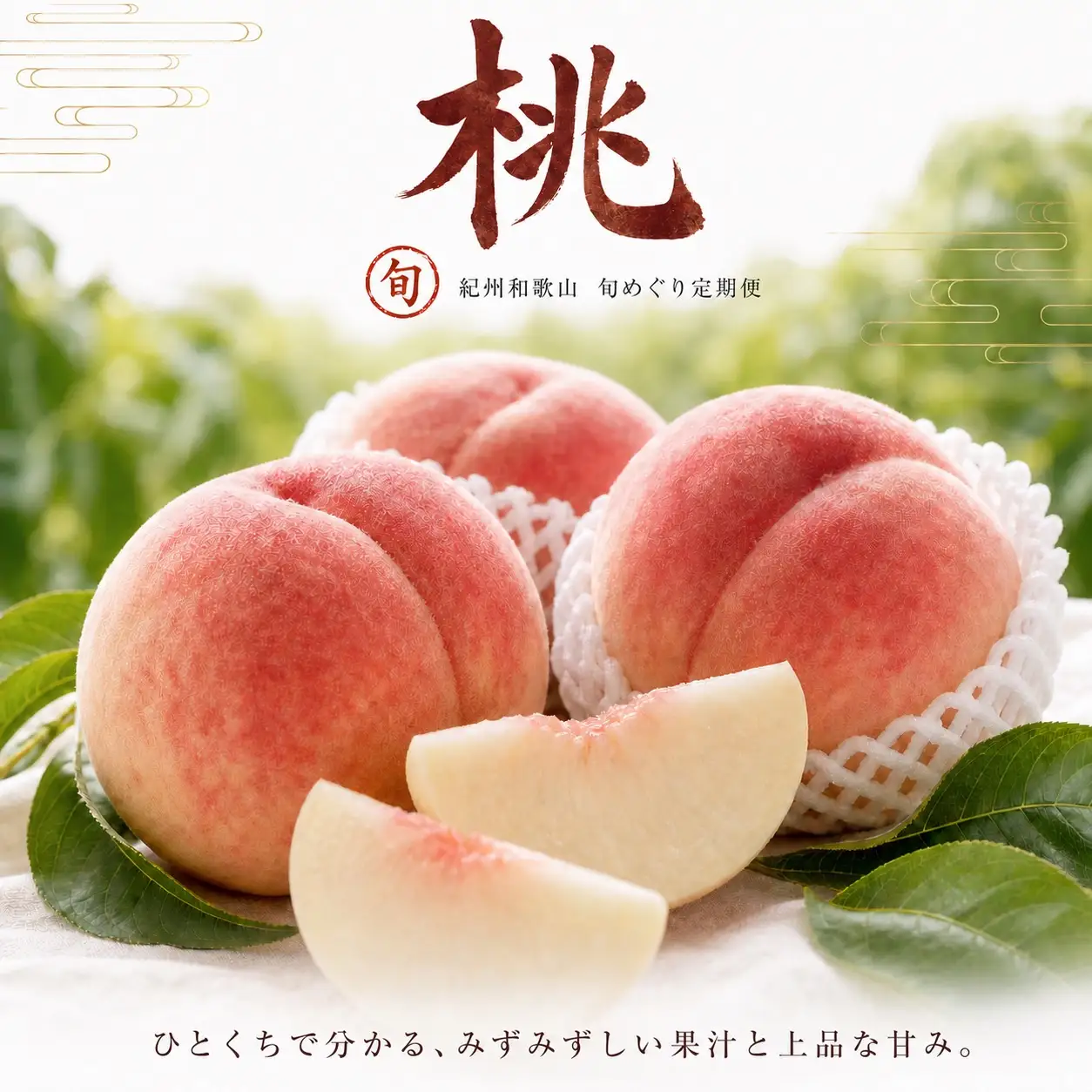 【全3回】紀州和歌山産旬のフルーツセット(せとか・桃・富有柿)  / 果物定期便 フルーツ定期便 セトカ 柑橘 くだもの 果物 カキ かき 柿 もも モモ 桃 【tkb392】