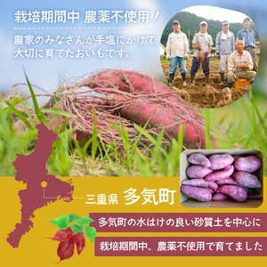 ≪訳あり≫ 栽培期間中農薬使用 紅はるか 5kg 紅はるか  さつまいも 紅はるか さつまいも さつまいも さつまいも さつまいも GE‐01
