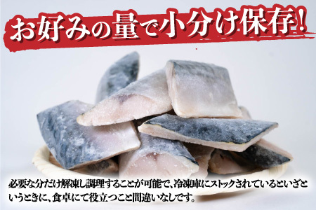 サバエのサバ！鯖 骨なし 無塩 冷凍切り身 600g　魚 海鮮