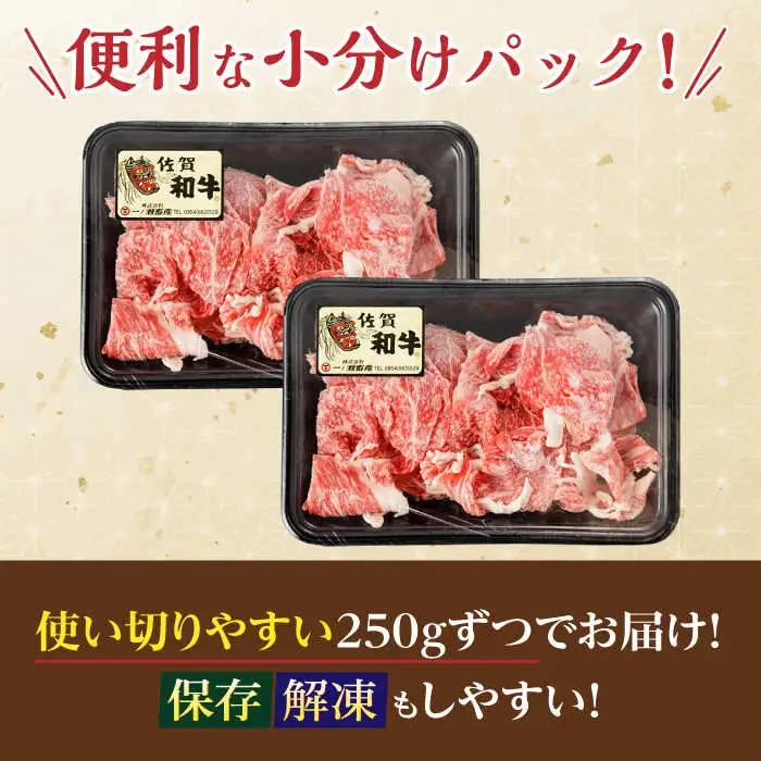 【定期便】牛肉切り落とし 計500g NAC162 牛肉 全3回