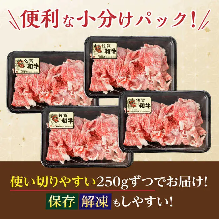 【定期便】牛肉切り落とし 計1kg NAC166 牛肉 全6回