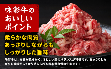 味彩牛 モモ・ウデ・肩ロース スライス 1.5kg 1パック 500g のぐち産業株式会社《90日以内に出荷予定(土日祝除く)》熊本県 菊池市 牛肉 スライス済み 肩ロース お肉 精肉 熊本県産 九州産 国産 冷凍 送料無料