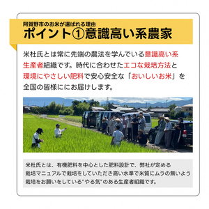【令和7年産】 9ヶ月定期便 特別栽培米 新之助 5㎏（5kg×1袋）×9回 米杜氏 壱成 白米 精米 大粒 つや 光沢 弾力 芳醇 新潟県 米 こめ コメ 1H49163