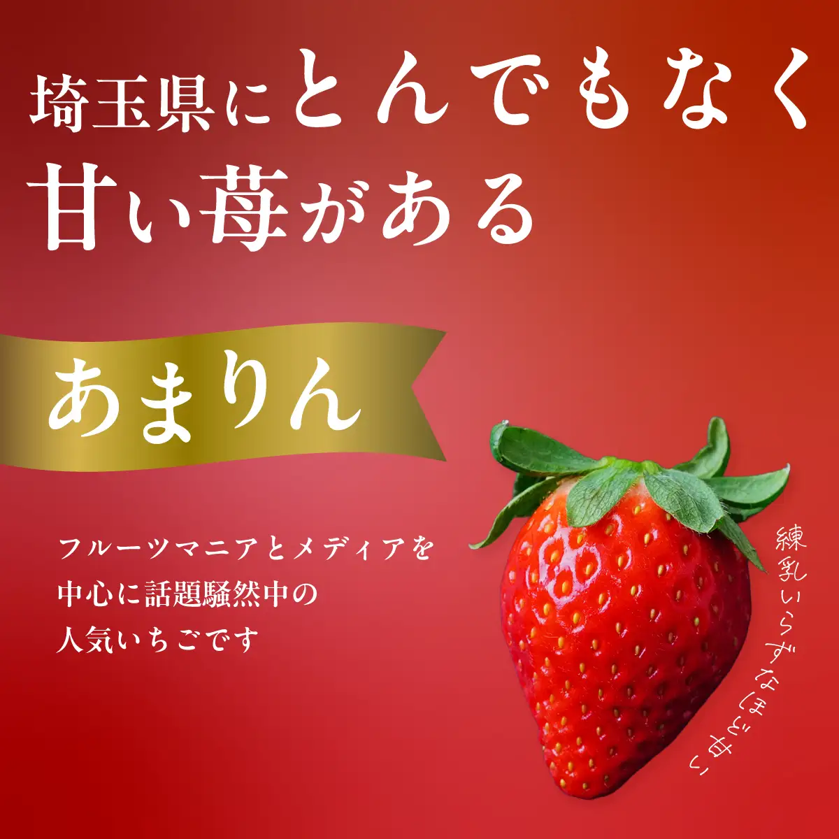 いちご あまりん 250g×2 いちご あまりん  埼玉県 久喜市