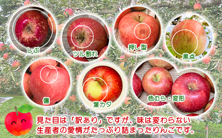 りんご サンふじ 訳あり 家庭用 高糖度 青森県産 りんご【約5kg】