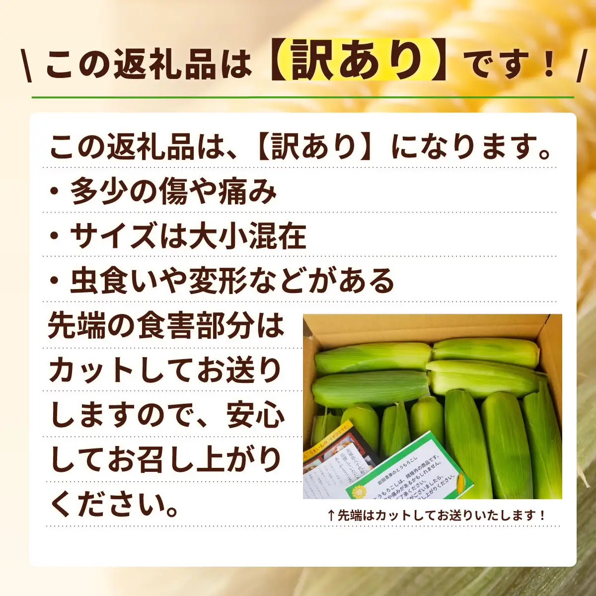 とうもろこし 訳あり ピュアホワイト 6kg 茨城県産 トウモロコシ 深夜採り 朝出荷