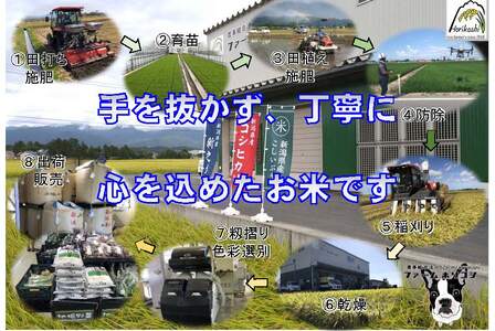 【令和7年産】阿賀野市産 コシヒカリ 「ファームホリコシ美田米」 5kg 白米 精米 新潟県 米 こめ コメ 数量限定 1週間以内に発送可 3H01010
