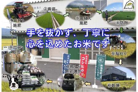 【令和7年産】阿賀野市産新之助「ファームホリコシ 新之助」5kg 白米 精米  新潟県 米 こめ コメ 数量限定 1週間以内に発送可 3H03011