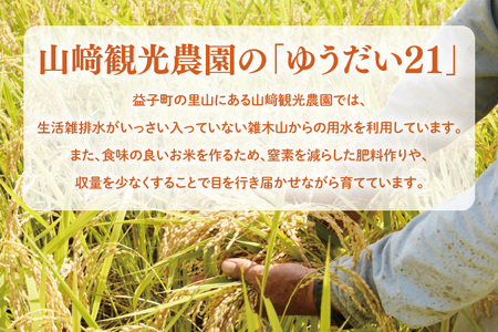 【全3回定期便】＜毎月＞ ★先行予約 10月より順次発送予定★ 山﨑観光農園のお米 ゆうだい21 白米 5kg（合計 15kg）｜栃木県 益子町 ふるさと納税 お米 ゆうだい21 白米 精米 5kg 高評価 令和7年産 先行予約 定期便 (AU017)
