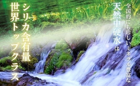 水 ラベルのない細野の天然水 555ml×24本 1箱（ ミネラルウォーター 天然水 中硬水 )