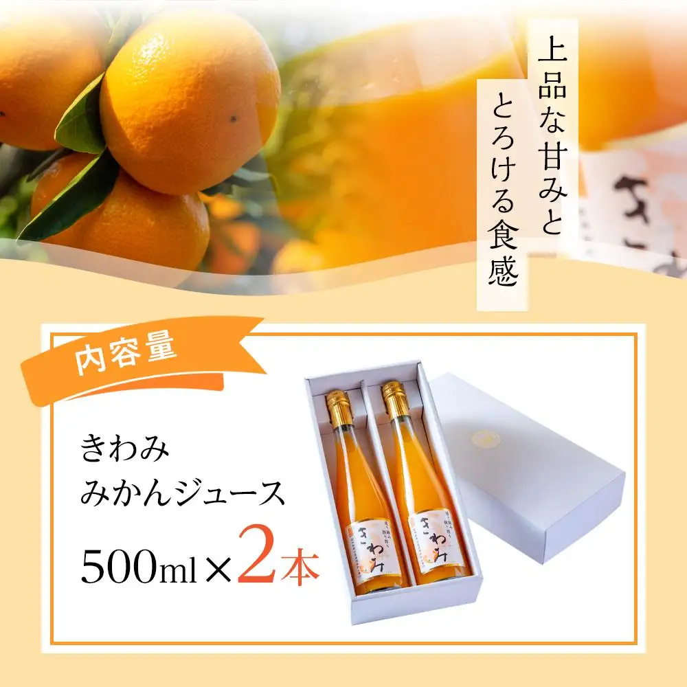 きわみ みかんジュース 500ml × 2本 入り ギフトセット【mao5】
