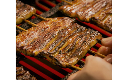【定期便】全12回コース　蒲焼割烹うな繁　特選国産うなぎ蒲焼真空パック４人前