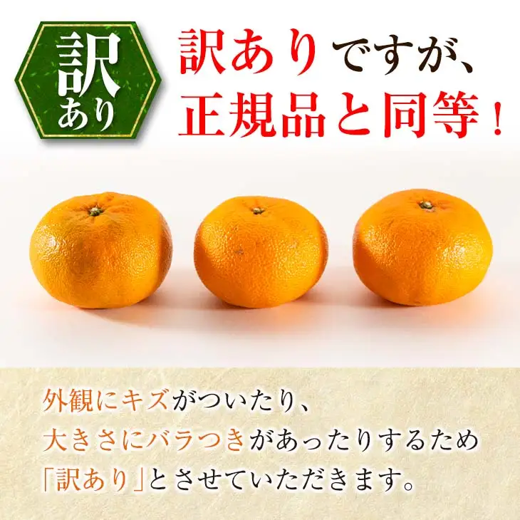 年内お届け 先行予約 訳あり みかん 西南のひかり 10kg 希少 2026 12月発送_DA87-26