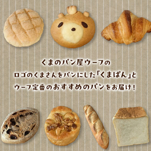 くまぱんセット　～くまぱんのおすすめパン～　パン くまぱん  くまパン クロワッサン メロンパン クルミ カシューナッツ レーズン バゲット 角食パン くまのパン屋ウーフ おすすめ 防災 備蓄 奈良県 生駒市 送料無料
