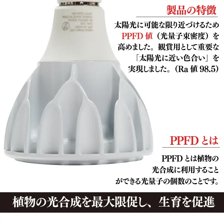 BN038　植物育成ライト「ヘリオスグリーンLED（ホワイト）」