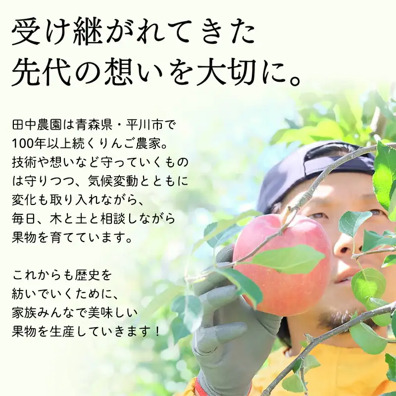 ≪12月発送 ≫ 100年の歴史 贈答規格サンふじ 約3kg 青森県平川市産[hi-0039-004]