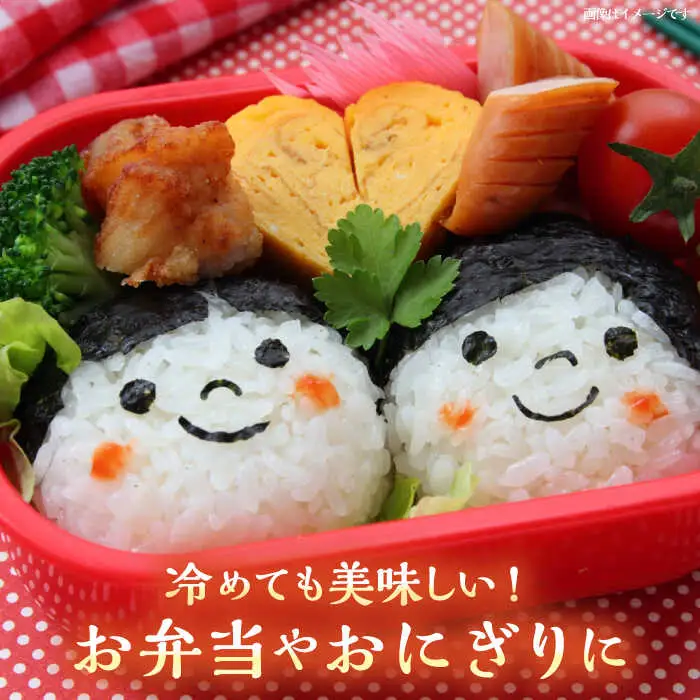 壱岐産 こしひかり 5kg《壱岐市》【壱岐市農業協同組合】[JBO147] 米 お米