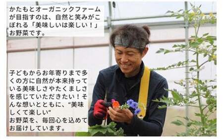 甘い葉付き人参 4kg かたもとオーガニックファーム 人参