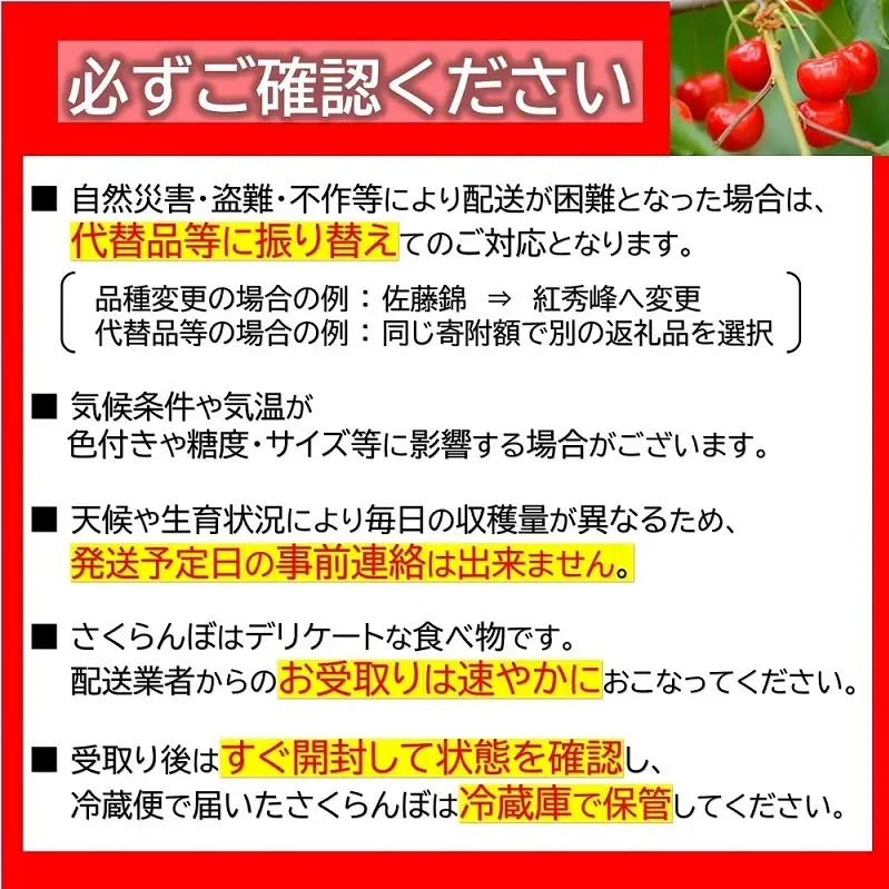 【令和9年産先行予約】 《定期便3回》 果樹王国山形 南陽のフルーツ定期便B 『マルエ青果』 果物 くだもの フルーツ 山形県 南陽市 [1494-R9]