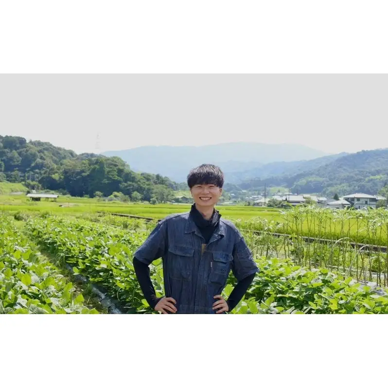 【令和9年1月より順次出荷】京都府産　干し芋(紅はるか) 150g×4袋　さつまいも サツマイモ 紅はるか ねっとり 自家栽培 宮津市 京都府　栽培期間中農薬・化学肥料・除草剤不使用 myz11 myz20