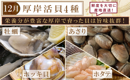 厚岸旬のふるさとセット　年5回お届け 毛蟹 北海しまえび さんま