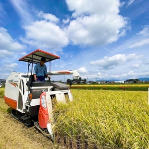 【 先行予約 】 令和8年産 新米 5kg きらみずき 有機JAS 米 玄米 環境こだわり米 特別栽培米 きらみずき お米 5kg×1袋 玄米 国産 滋賀県 日野町 農家直送 環境こだわり 米 ご飯 おにぎり お弁当 弁当 kome kiramizuki R8年 R8 8年産 ゲンマイ しんまい おこめ こめ オコメ 10000円 産地直送 日野町産米 ひのでファーム