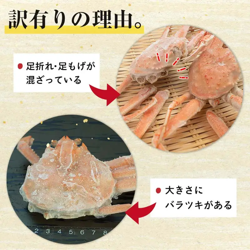 【訳あり】浜茹でオオズワイガニのメス（外子付き）1.5kg 詰め込みセット 北海道噴火湾産 ＜道産ネットミツハシ＞ かに カニ 蟹 がに 北海道 森町 ふるさと納税 mr1-1382