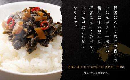 飛騨高山の山菜 行者にんにく醤油漬け100g×3個 | にんにく ML023