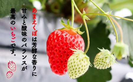あまえくぼ 540g 苺 いちご イチゴ
