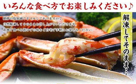 ボイルずわいがに足 総重量3kg（約14肩前後） [024-b031]