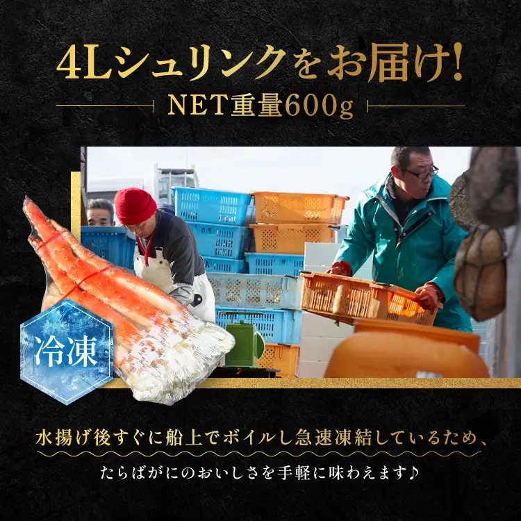 タラバ 脚 ボイル NET重量 600g 4L シュリンク 数量限定 キョクヨー たらばがに タラバガニ たらば蟹 カニ 蟹 肩 足 魚介 海鮮 極洋カニ鍋 焼きガニ_AR007