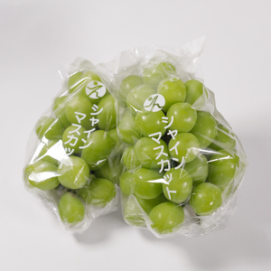 シャインマスカット 1kg 秀品 シャインマスカット 【SSK012】