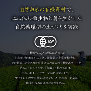 紅茶 ティーバッグ オーガニック 7袋 セット 紅茶