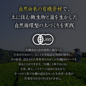 オーガニック茶 ティーバッグ 90包 有機 オーガニック 岡部茶 煎茶