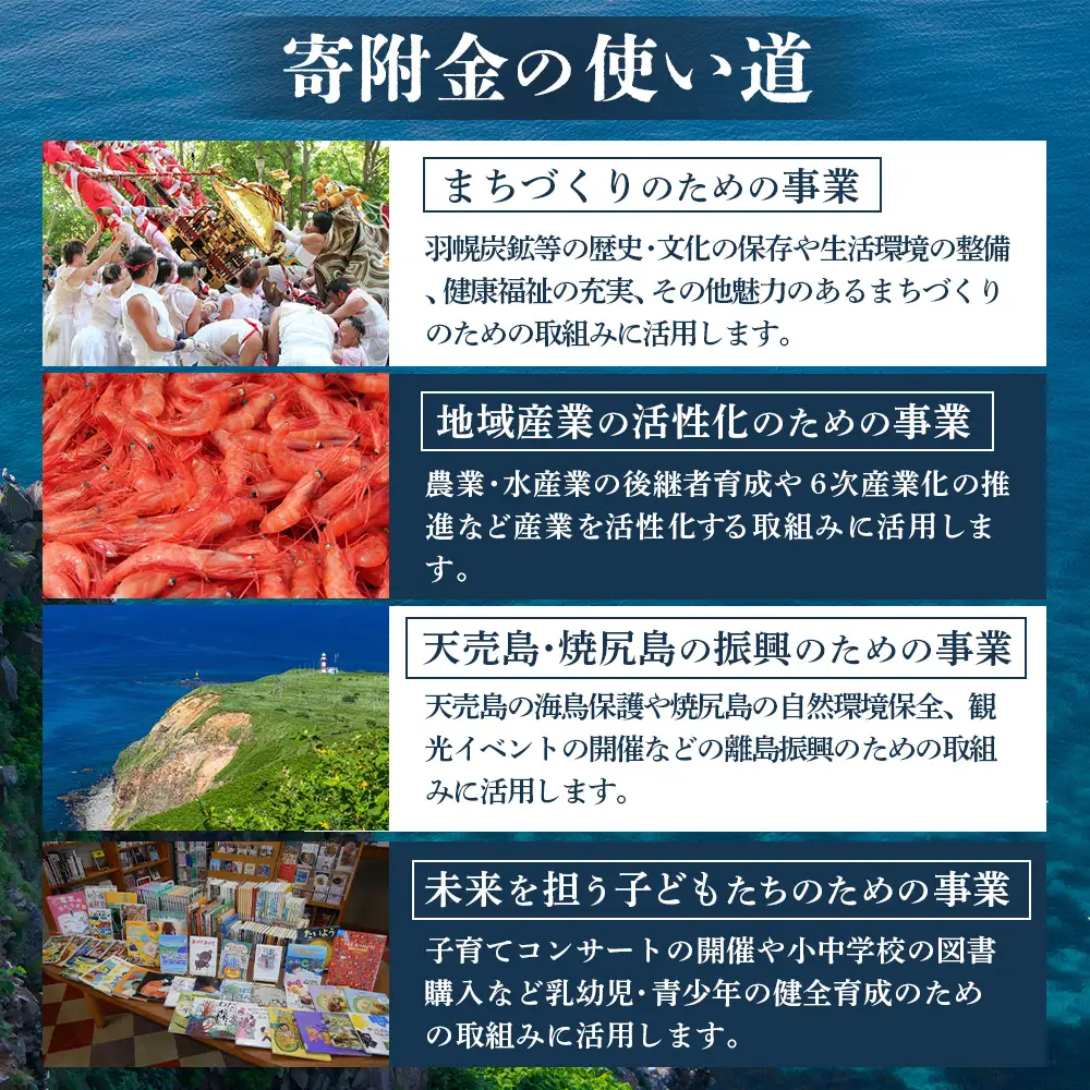 北海道羽幌町への応援寄付　返礼品なし　1口 1,000円【99001】