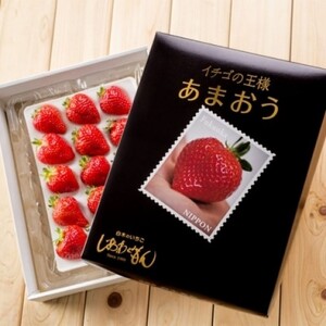 あまおう 白木のいちご あまおうづくし あまおう【定期便6ヶ月6回】