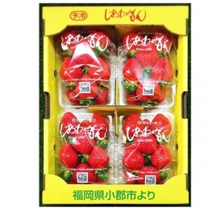 あまおう 白木のいちご あまおう【300g×4パック(M〜3L)】