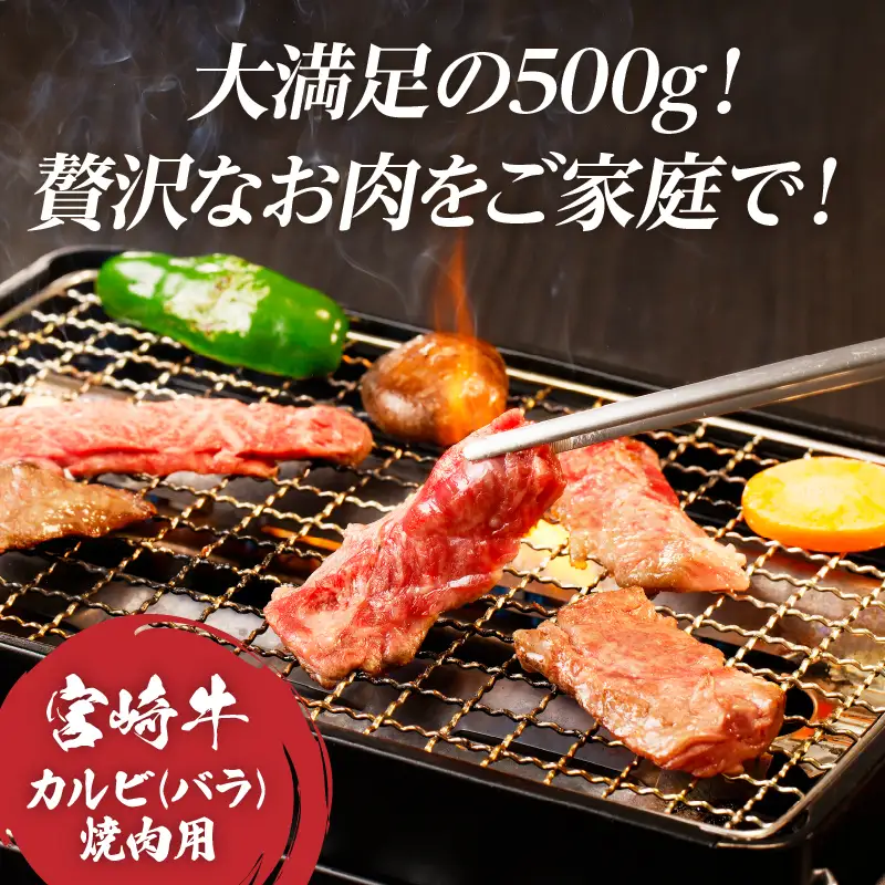 全部小分け真空パック!!「宮崎牛カルビ(バラ)焼肉用」計500g 肉 牛 牛肉 おかず 国産_T041-0065