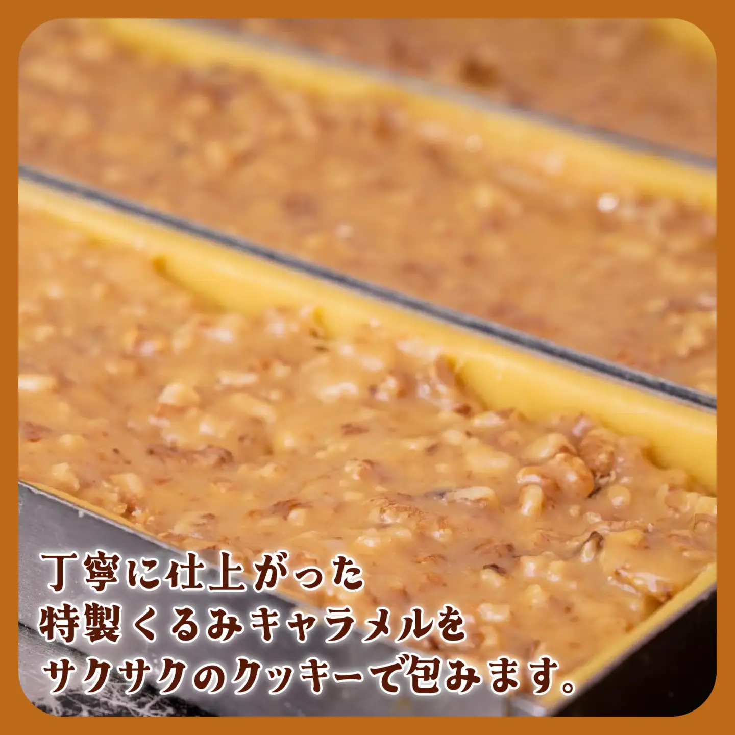 くるみやまびこハーフ2種 詰合せ（10個入） ｜ クッキー クッキー
