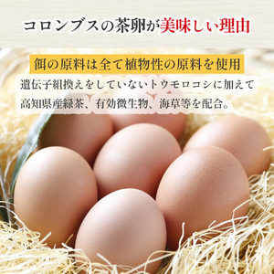 卵が苦手な子どもも食べられた！生臭くないおいしい卵 （10個入×6P） たまご 卵 玉子 鶏卵 生卵 生たまご ／Gbn-A59