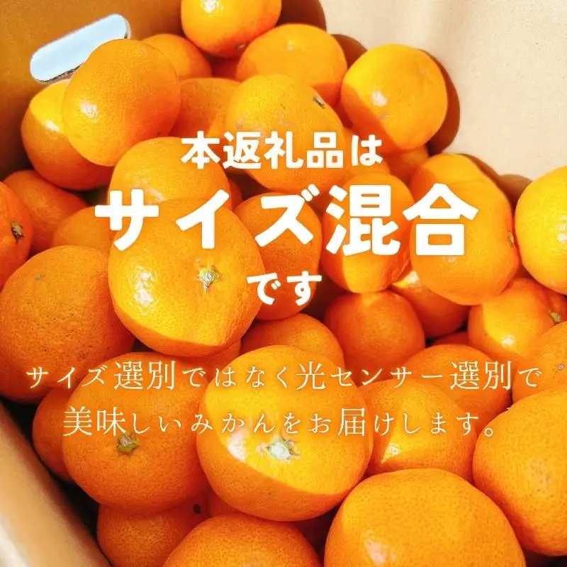 【2027年1月発送予約分】＼光センサー選別／ 【農家直送】【家庭用】こだわりの有田みかん 約6kg＋250g(傷み補償分) 先行予約 有機質肥料100% サイズ混合 【1月発送】みかん ミカン 有田みかん 温州みかん 柑橘 有田 和歌山 ※北海道・沖縄・離島配送不可 【nuk102-01A】