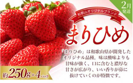 定期便【全3回/2～3・7・9月】＼フルーツ大国和歌山からお届け／ 旬のフルーツ 定期便（いちご・桃・ピオーネ）/ 定期便 フルーツ定期便 くだもの定期便 果物定期便 和歌山 果物 フルーツ【tkb401】
