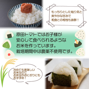 お米 10kg 定期便 3回 あきさかり 令和8年産 米 こめ